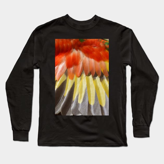 Rainbow Lorikeets Wing Feathers at Magpie Springs by Avril Thomas Long Sleeve T-Shirt by MagpieSprings